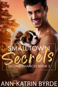 Book Cover: Small Town Secrets